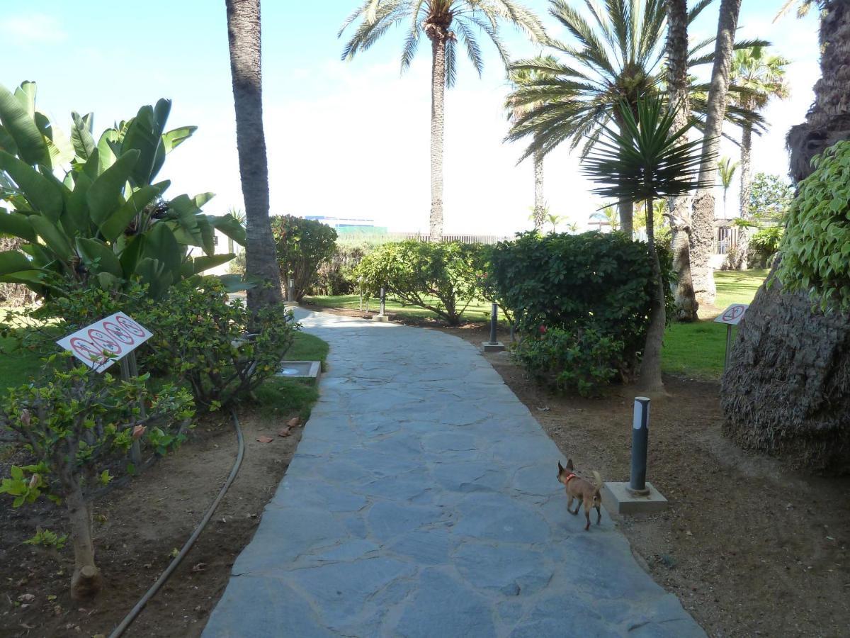 Studio In Top Lage Direkt Am Strand Arguineguin Exterior photo